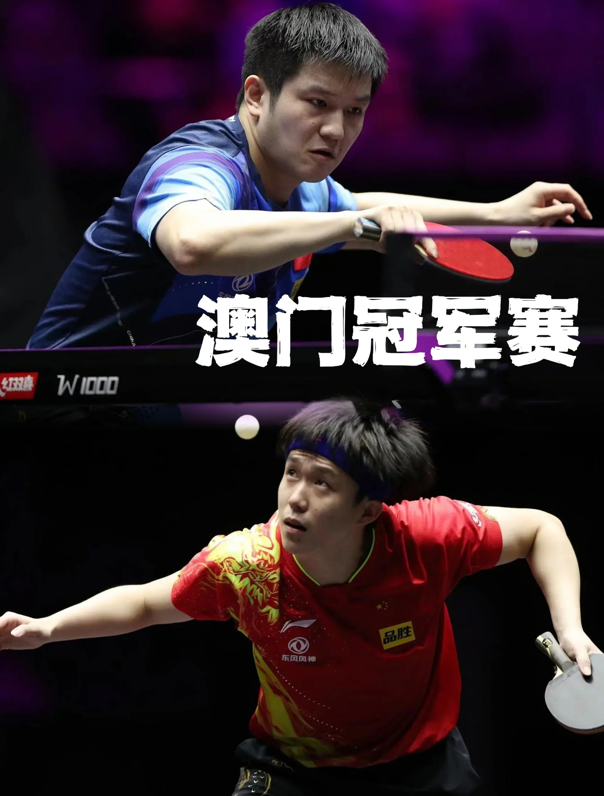 关于比利时乒乓球队鏖战瑞典乒乓球队，樊振东爆发神勇的信息