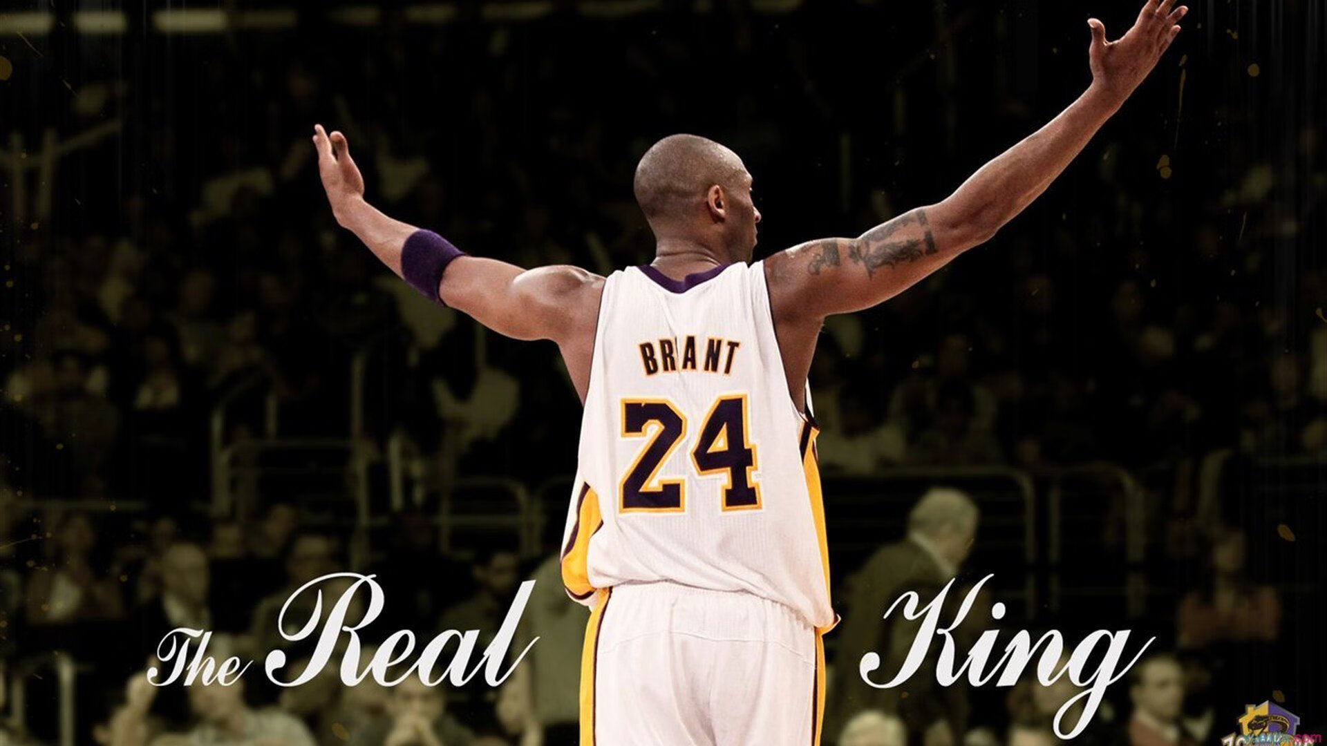 戴维斯杯，超越大满贯的孤勇—纳达尔以国家之名惊艳世界